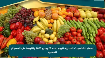 أسعار الخضروات الطازجة اليوم الأحد 27 يوليو 2025 وتأثيرها على الأسواق المحلية
